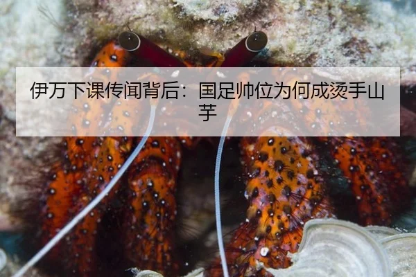 伊万下课传闻背后：国足帅位为何成烫手山芋
